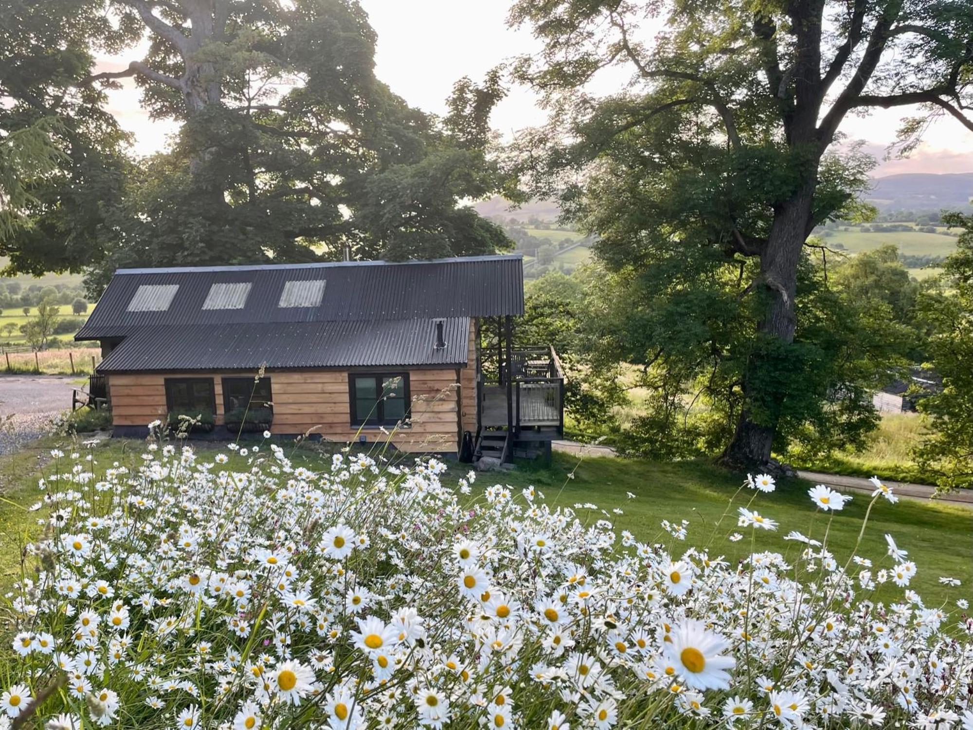 Faraway Follies Villa Llandegla Exteriör bild